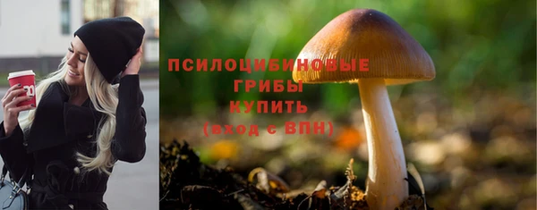 спиды Белоозёрский