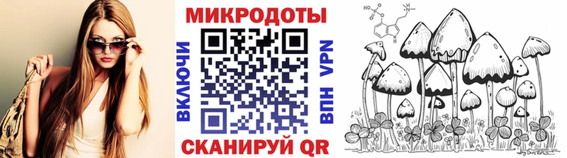 Галлюциногенные грибы Psilocybe  купить  сайты  Кубинка 