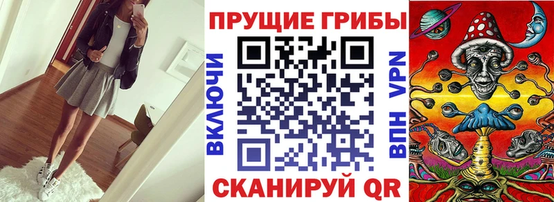 Галлюциногенные грибы Psilocybe Кубинка